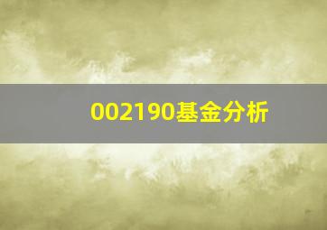 002190基金分析