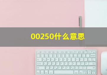 00250什么意思