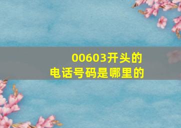 00603开头的电话号码是哪里的