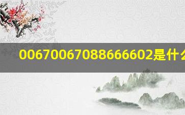 00670067088666602是什么电话