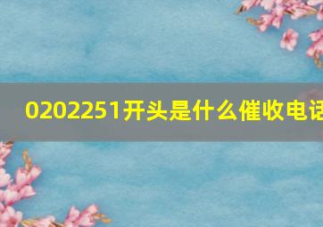 0202251开头是什么催收电话