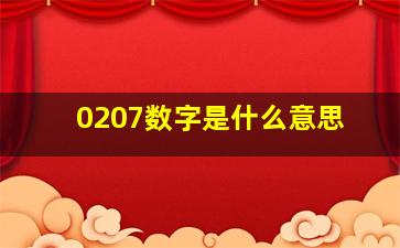 0207数字是什么意思