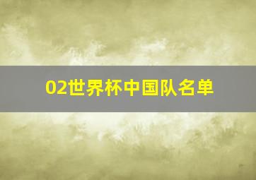 02世界杯中国队名单