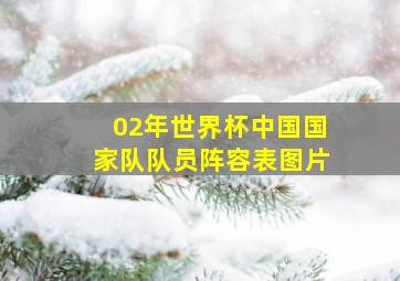 02年世界杯中国国家队队员阵容表图片