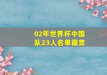 02年世界杯中国队23人名单籍贯