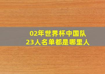 02年世界杯中国队23人名单都是哪里人