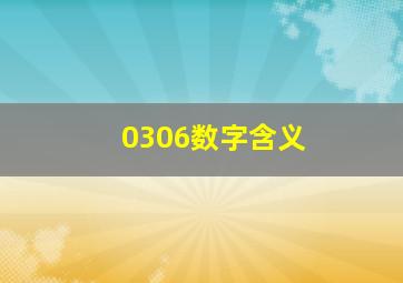 0306数字含义