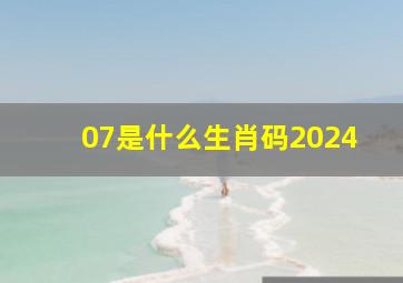 07是什么生肖码2024