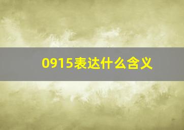 0915表达什么含义