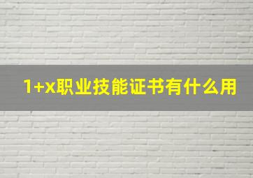 1+x职业技能证书有什么用