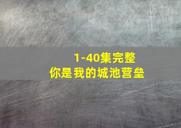 1-40集完整你是我的城池营垒