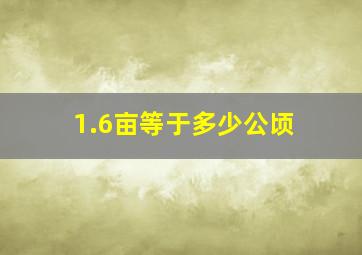 1.6亩等于多少公顷