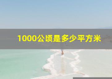 1000公顷是多少平方米