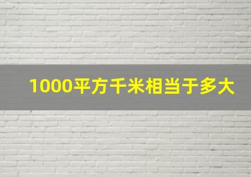 1000平方千米相当于多大