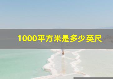 1000平方米是多少英尺