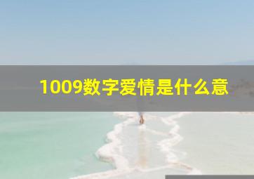 1009数字爱情是什么意