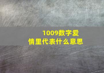 1009数字爱情里代表什么意思