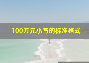 100万元小写的标准格式