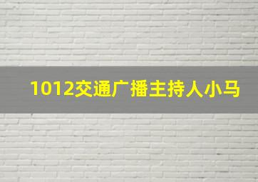 1012交通广播主持人小马