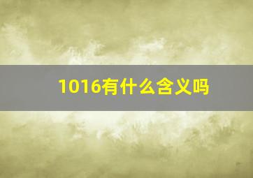 1016有什么含义吗