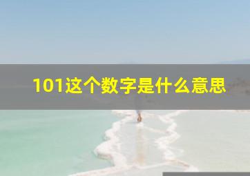 101这个数字是什么意思