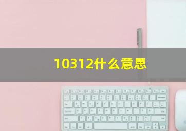 10312什么意思