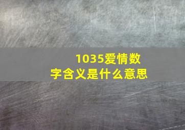 1035爱情数字含义是什么意思