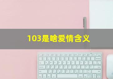 103是啥爱情含义