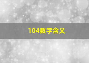 104数字含义