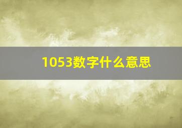 1053数字什么意思