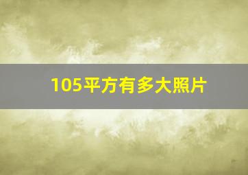 105平方有多大照片