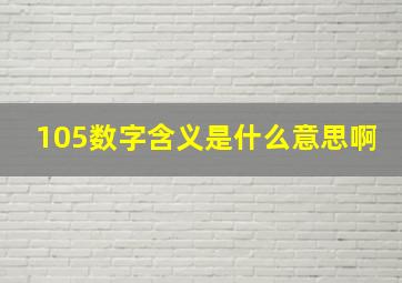 105数字含义是什么意思啊