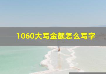 1060大写金额怎么写字