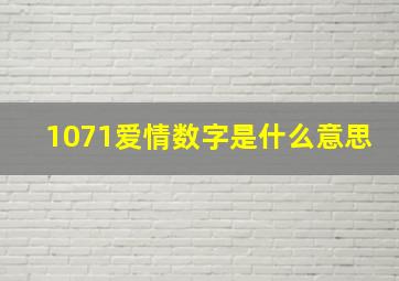 1071爱情数字是什么意思