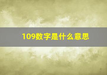 109数字是什么意思