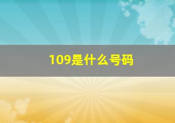 109是什么号码