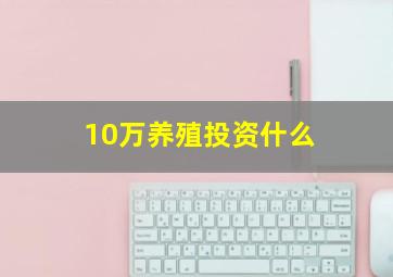 10万养殖投资什么