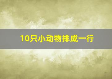 10只小动物排成一行