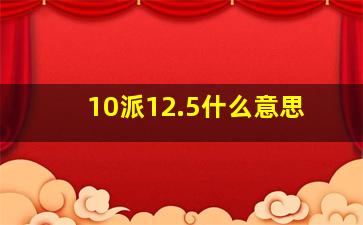 10派12.5什么意思