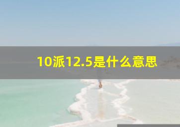 10派12.5是什么意思