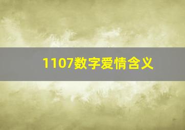 1107数字爱情含义