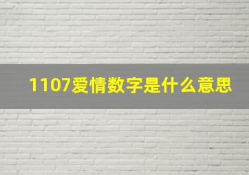 1107爱情数字是什么意思