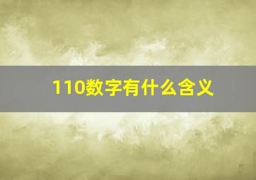 110数字有什么含义