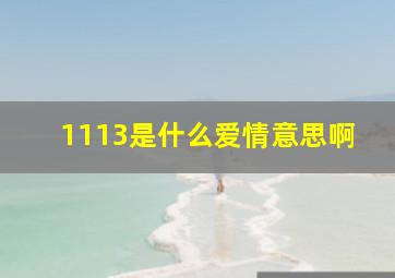 1113是什么爱情意思啊