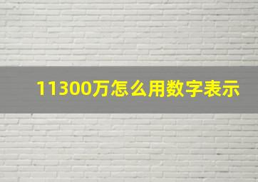 11300万怎么用数字表示