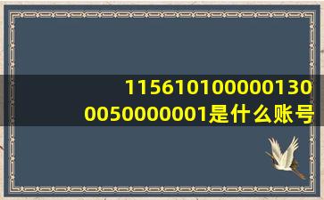 1156101000001300050000001是什么账号