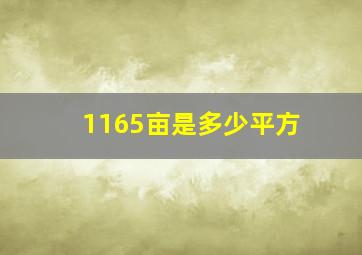 1165亩是多少平方