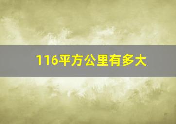 116平方公里有多大