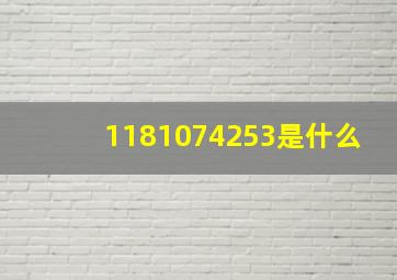 1181074253是什么