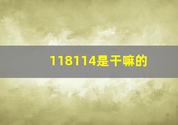 118114是干嘛的